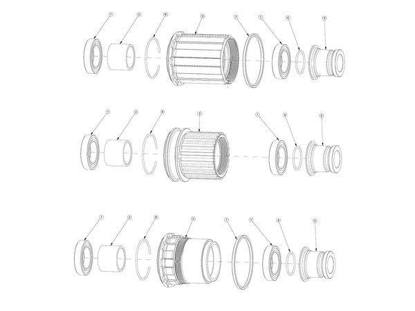 Freehub Exploded View & Parts List